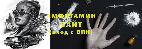 гидра Арсеньев