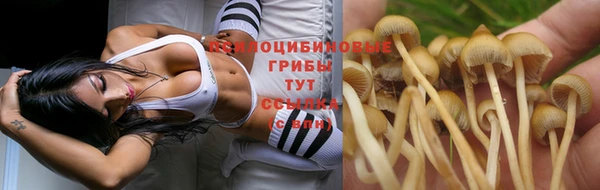 гидра Арсеньев