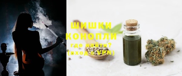 гидра Арсеньев