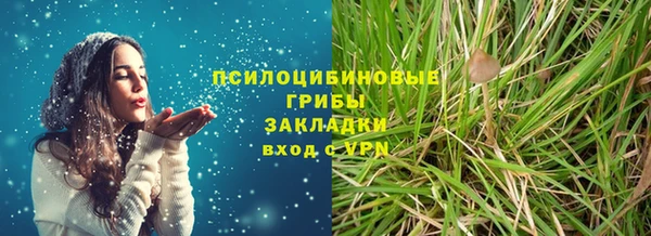 гидра Арсеньев