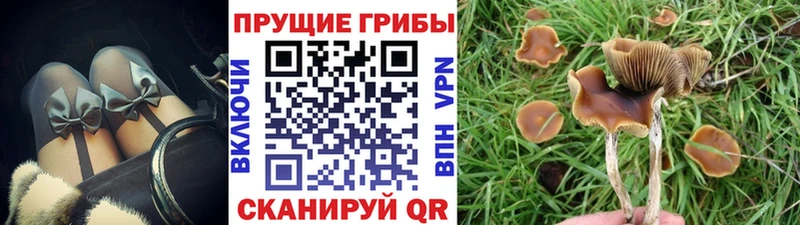 Галлюциногенные грибы Magic Shrooms  Усть-Катав 