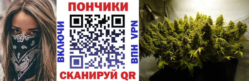 Шишки марихуана Amnesia Усть-Катав